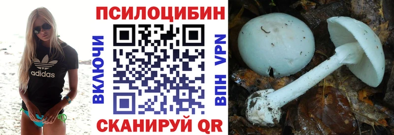 Псилоцибиновые грибы мицелий Суворов