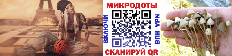 Галлюциногенные грибы прущие грибы  Суворов 